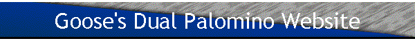 Goose's Dual Palomino Website